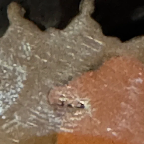 Sterling Silver Bumble Bee Jasper concho statement adjustable ring - Picture 3 of 3